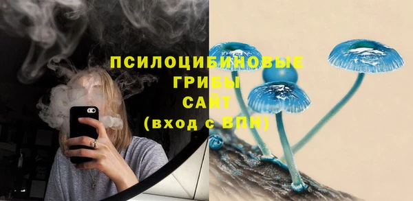 стафф Арсеньев