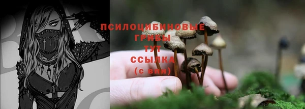Альфа ПВП Армянск