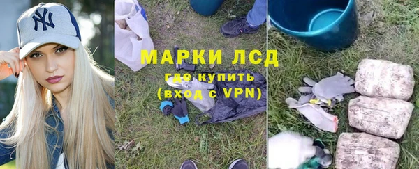 стафф Арсеньев