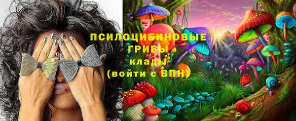 Альфа ПВП Армянск